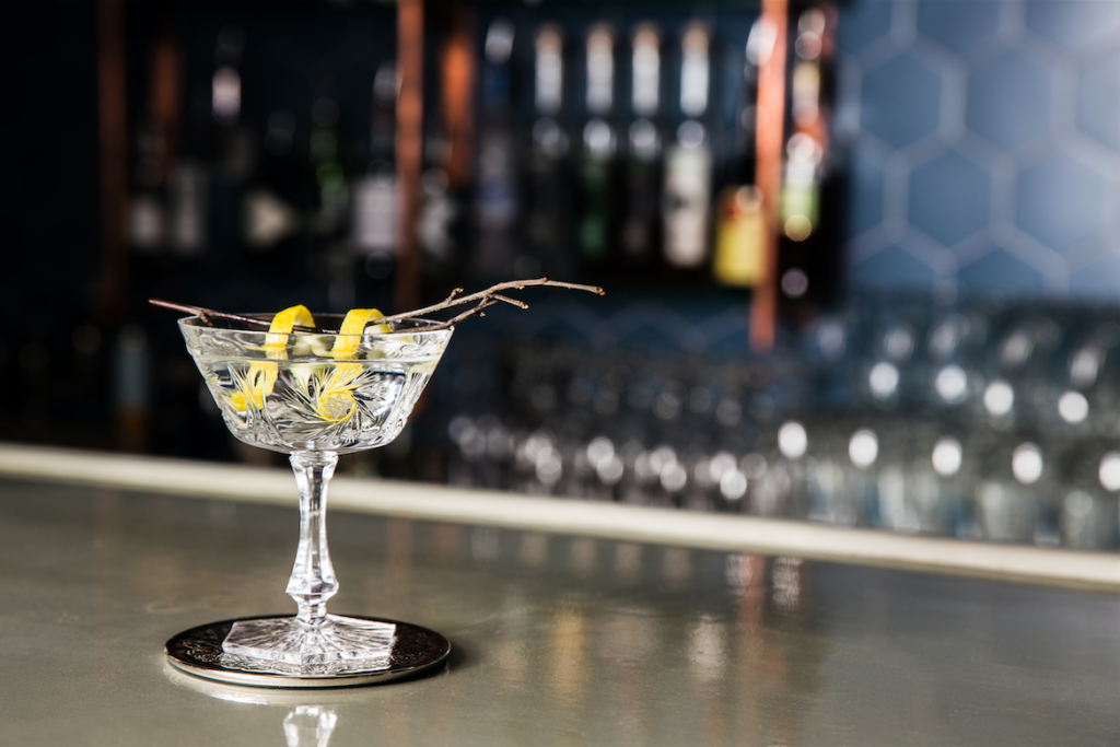 Birch Martini Cocktail with Bjarki Vodka